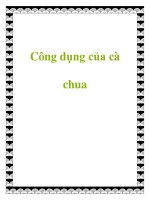 Công dụng của cà chua pot