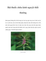 Bài thuốc chữa kinh nguyệt thất thường docx