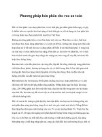 Phương pháp bón phân cho rau an toàn potx