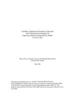 Culturally Appropriate Information, Education and Communication Strategies for Improving Adolescent Reproductive Health in Cusco, Peru potx