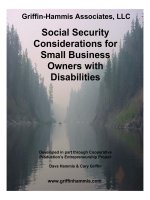 Griffin-Hammis Associates, LLC - Social Security Considerations for Small Business Owners with Disabilities doc