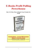 E-Books Profit Pulling Powerhouse pot