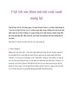 5 lợi ích sức khỏe mà trái xoài xanh mang lại pdf