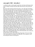 cảm nghĩ về Bố – bài mẫu 4