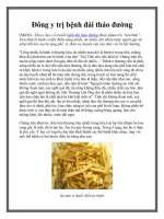 Đông y trị bệnh đái tháo đường pdf