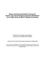 Report and Recommendations Pursuant to Section 133 of the Emergency Economic Stabilization Act of 2008: Study on Mark-To-Market Accounting doc