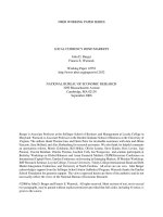 LOCAL CURRENCY BOND MARKETS - NATIONAL BUREAU OF ECONOMIC RESEARCH doc