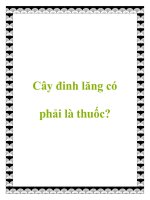 Cây đinh lăng có phải là thuốc? ppt