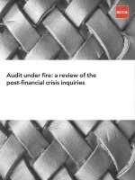 Audit under fire: a review of the post-financial crisis inquiries ppt