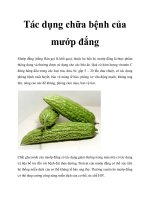 Tác dụng chữa bệnh của mướp đắng ppt