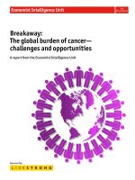 Breakaway: The global burden of cancer— challenges and opportunities pot