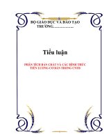 Tiểu luận: PHÂN TÍCH BẢN CHẤT VÀ CÁC HÌNH THỨC TIỀN LƯƠNG CƠ BẢN TRONG CNTB pptx