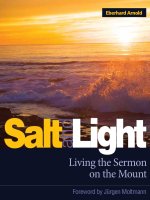 Salt and Light docx