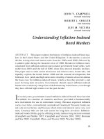 Understanding Inﬂation-Indexed Bond Markets pot