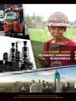 A CITIZENS’ GUIDE TO ENERGY SUBSIDIES IN INDONESIA doc