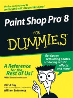 Paint shop pro 8 for dummies (2003)