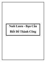 Nuôi Lươn - Bạn Cần Biết Để Thành Công pptx