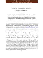Rollover Risk and Credit Risk pdf