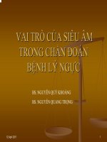 VAI TRÒ CỦA SIÊU ÂM TRONG CHẨN ĐOÁN BỆNH LÝ NGỰC doc