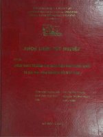 Chính sách thương mại biên mậu của Trung Quốc và bài học kinh nghiệm với Việt Nam