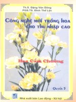 Công nghệ mới trồng hoa thu nhập cao:Hoa cẩm chướng pot