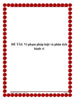 ĐỀ TÀI: Vi phạm pháp luật và phân tích hành vi pdf