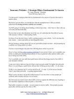 Insurance Websites - 3 Strategic Pillars Fundamental To Success pptx