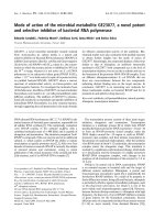 Báo cáo khoa học: Mode of action of the microbial metabolite GE23077, a novel potent and selective inhibitor of bacterial RNA polymerase docx