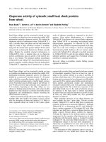 Báo cáo khóa học: Chaperone activity of cytosolic small heat shock proteins from wheat pptx