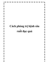 Cách phòng trị bệnh sâu ruồi đục quả pptx