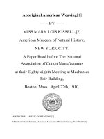 Aboriginal American Weaving potx