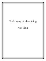 Triển vọng cá chim trắng vây vàng pot