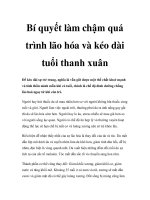 Bí quyết làm chậm quá trình lão hóa và kéo dài tuổi thanh xuân pptx