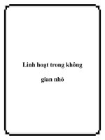 Linh hoạt trong không gian nhỏ pdf