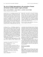 Báo cáo khóa học: The role of N-linked glycosylation in the protection of human and bovine lactoferrin against tryptic proteolysis pdf