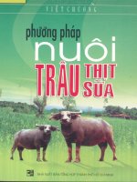 Phương pháp nuôi trâu thịt, trâu sữa pptx