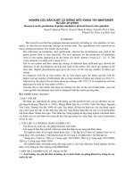 Nghiên cứu sản xuất củ giống gốc khoai tây Minituber từ cây in vitro pdf