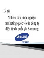 Nghiên cứu kinh nghiệm marketing quốc tế của công ty điện tử đa quốc gia Samsung pot
