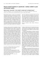 Báo cáo khoa học: Disease-related mutations in cytochrome c oxidase studied in yeast and bacterial models pptx