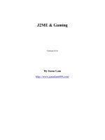 J2ME & Gaming pot