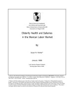 Elderly Health and Salaries in the Mexican Labor Market potx