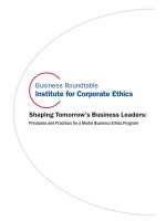 Shaping Tomorrow’s Business Leaders: Principles and Practices for a Model Business Ethics Program ppt