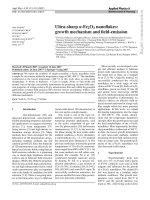 ultra-sharp a-fe2o3 nanoflakes growth mechanism and field-emission