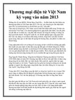 Thương mại điện tử Việt Nam kỳ vọng vào năm 2013 pptx