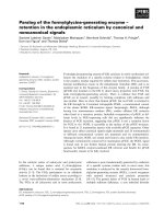 Báo cáo khoa học: Paralog of the formylglycine-generating enzyme – retention in the endoplasmic reticulum by canonical and noncanonical signals pptx