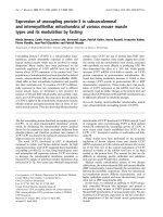 Báo cáo Y học: Expression of uncoupling protein-3 in subsarcolemmal and intermyoﬁbrillar mitochondria of various mouse muscle types and its modulation by fasting docx
