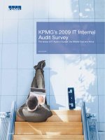 KPMG’s 2009 IT Internal Audit Survey potx