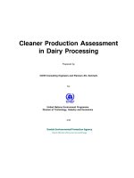 Cleaner Production Assessment in Dairy Processing