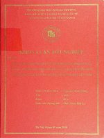 hoạt động nhượng quyền thương mại (franchising) của hệ thống nhà hàng pizza và kinh nghiệm cho các doanh nghiệp kinh doanh đồ ăn nhanh việt nam