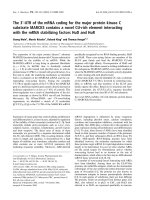 Báo cáo khoa học: The 3¢-UTR of the mRNA coding for the major protein kinase C substrate MARCKS contains a novel CU-rich element interacting with the mRNA stabilizing factors HuD and HuR ppt
